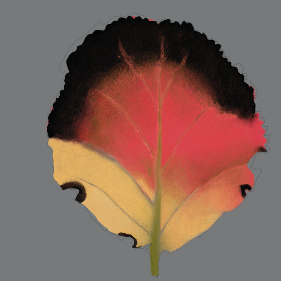 leaves (square)